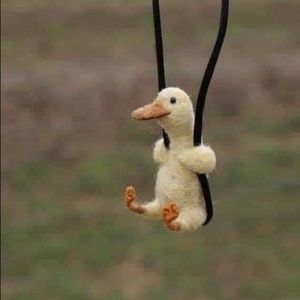 Meet your Posher, Mia